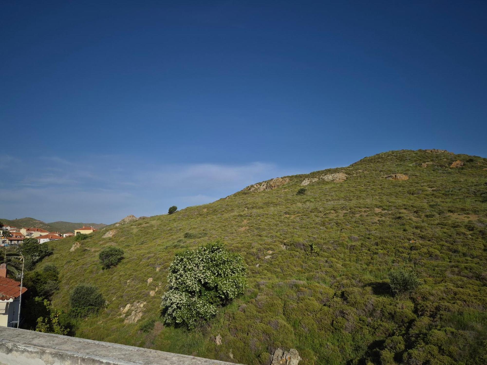 Kostas Studios Apartments - Ενοικιαζόμενα Δωμάτια Με Κουζινάκι Myrina Bagian luar foto